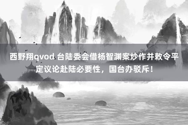 西野翔qvod 台陆委会借杨智渊案炒作并敕令平定议论赴陆必要性，国台办驳斥！