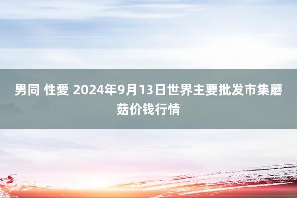 男同 性愛 2024年9月13日世界主要批发市集蘑菇价钱行情