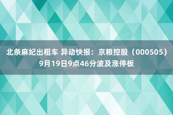 北条麻妃出租车 异动快报：京粮控股（000505）9月19日