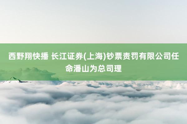 西野翔快播 长江证券(上海)钞票责罚有限公司任命潘山为总司理