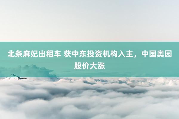 北条麻妃出租车 获中东投资机构入主，中国奥园股价大涨