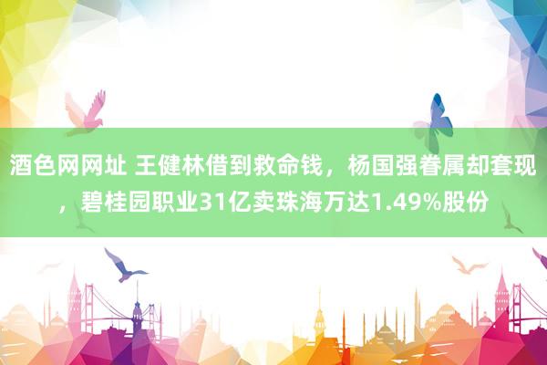 酒色网网址 王健林借到救命钱，杨国强眷属却套现，碧桂园职业31亿卖珠海万达1.49%股份