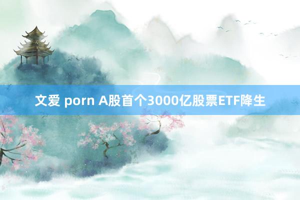 文爱 porn A股首个3000亿股票ETF降生