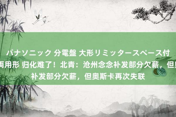 パナソニック 分電盤 大形リミッタースペース付 露出・半埋込両用形 归化难了！北青：沧州念念补发部分欠薪，但奥斯卡再次失联