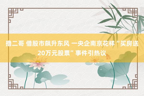 撸二哥 借股市飙升东风 一央企南京花样“买房送20万元股票”事件引热议