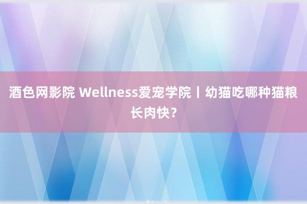 酒色网影院 Wellness爱宠学院丨幼猫吃哪种猫粮长肉快？