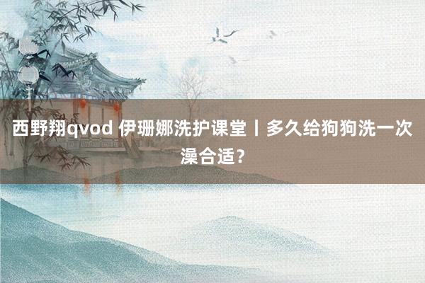 西野翔qvod 伊珊娜洗护课堂丨多久给狗狗洗一次澡合适？