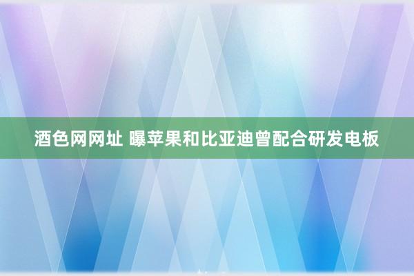 酒色网网址 曝苹果和比亚迪曾配合研发电板