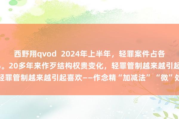 西野翔qvod  2024年上半年，轻罪案件占各种作歹案件比例超越85%。20多年来作歹结构权贵变化，轻罪管制越来越引起喜欢——作念精“加减法” “微”处见真章