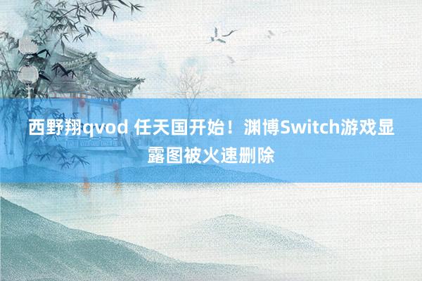 西野翔qvod 任天国开始！渊博Switch游戏显露图被火速删除