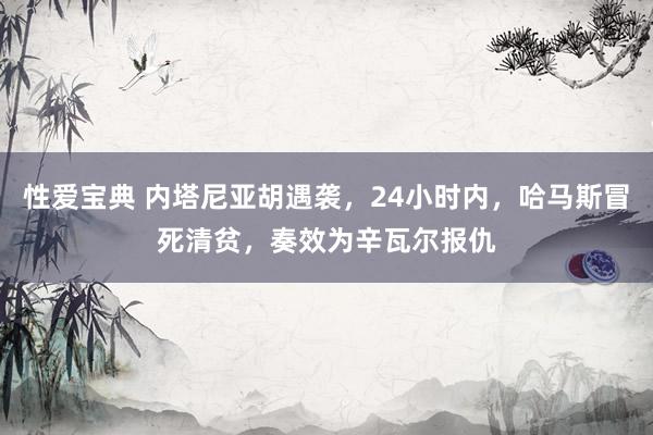 性爱宝典 内塔尼亚胡遇袭，24小时内，哈马斯冒死清贫，奏效为辛瓦尔报仇