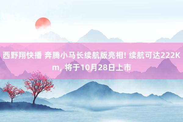 西野翔快播 奔腾小马长续航版亮相! 续航可达222Km， 将于10月28日上市