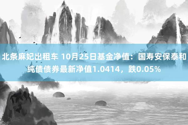 北条麻妃出租车 10月25日基金净值：国寿安保泰和纯债债券最新净值1.0414，跌0.05%