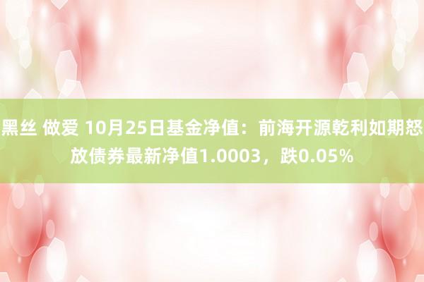 黑丝 做爱 10月25日基金净值：前海开源乾利如期怒放债券最新净值1.0003，跌0.05%