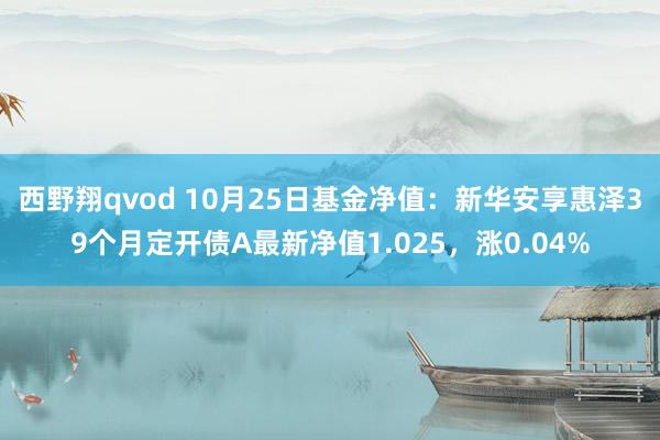 西野翔qvod 10月25日基金净值：新华安享惠泽39个月定开债A最新净值1.025，涨0.04%