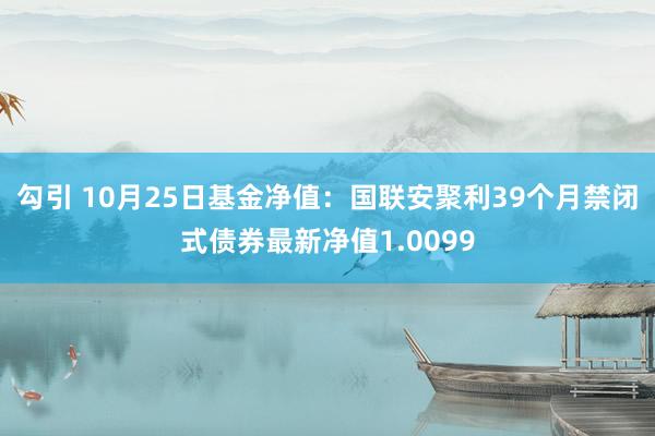 勾引 10月25日基金净值：国联安聚利39个月禁闭式债券最新净值1.0099