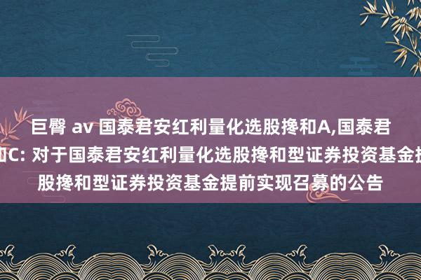 巨臀 av 国泰君安红利量化选股搀和A，国泰君安红利量化选股搀和C: 对于国泰君安红利量化选股搀和型证券投资基金提前实现召募的公告