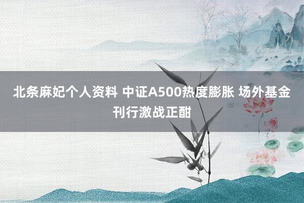 北条麻妃个人资料 中证A500热度膨胀 场外基金刊行激战正酣