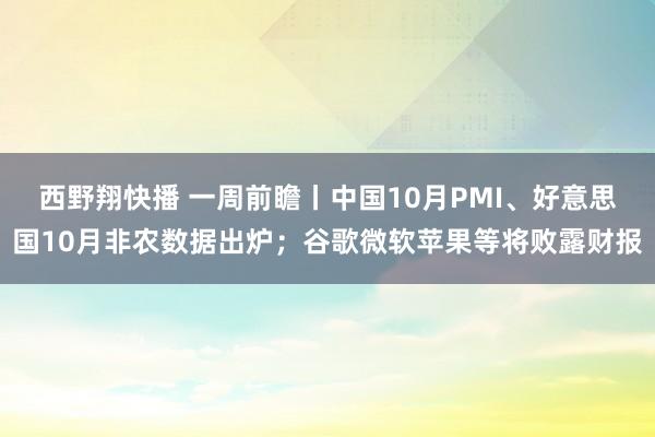 西野翔快播 一周前瞻丨中国10月PMI、好意思国10月非农数据出炉；谷歌微软苹果等将败露财报