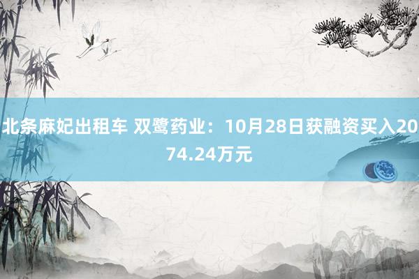 北条麻妃出租车 双鹭药业：10月28日获融资买入2074.24万元