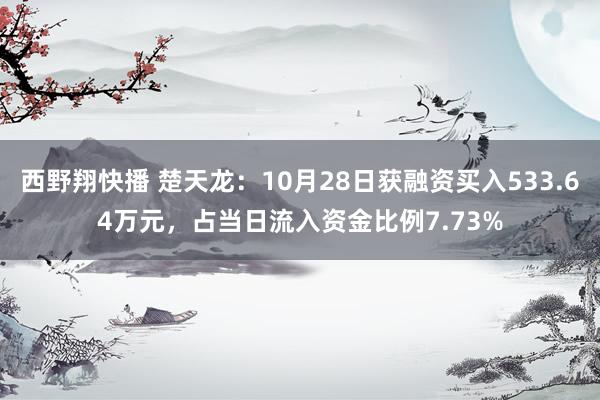 西野翔快播 楚天龙：10月28日获融资买入533.64万元，占当日流入资金比例7.73%