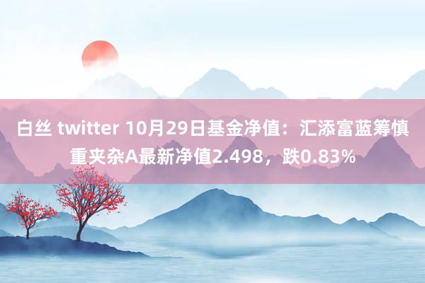 白丝 twitter 10月29日基金净值：汇添富蓝筹慎重夹杂A最新净值2.498，跌0.83%