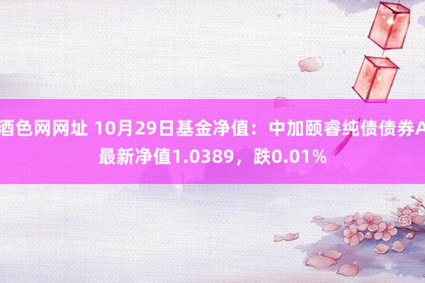 酒色网网址 10月29日基金净值：中加颐睿纯债债券A最新净值1.0389，跌0.01%