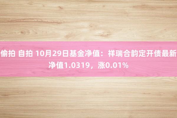 偷拍 自拍 10月29日基金净值：祥瑞合韵定开债最新净值1.0319，涨0.01%