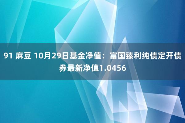 91 麻豆 10月29日基金净值：富国臻利纯债定开债券最新净值1.0456