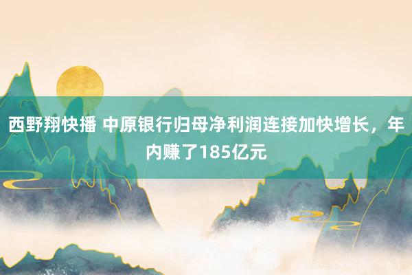 西野翔快播 中原银行归母净利润连接加快增长，年内赚了185亿元