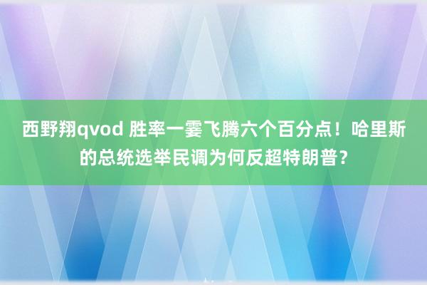 西野翔qvod 胜率一霎飞腾六个百分点！哈里斯的总统选举民调为何反超特朗普？