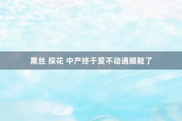 黑丝 探花 中产终于爱不动通顺鞋了