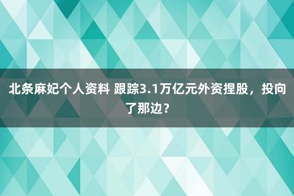 北条麻妃个人资料 跟踪3.1万亿元外资捏股，投向了那边？