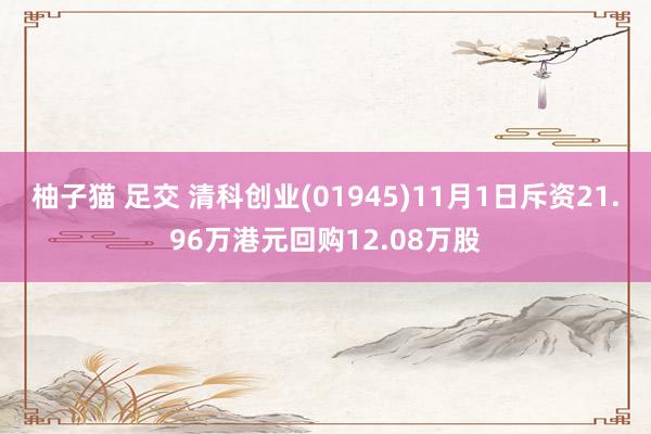 柚子猫 足交 清科创业(01945)11月1日斥资21.96万港元回购12.08万股