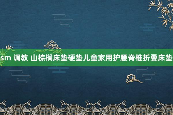 sm 调教 山棕榈床垫硬垫儿童家用护腰脊椎折叠床垫