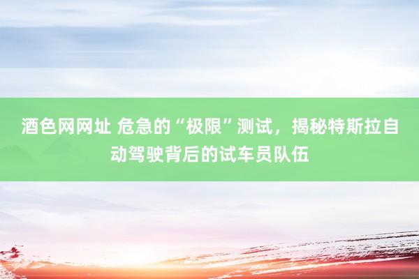 酒色网网址 危急的“极限”测试，揭秘特斯拉自动驾驶背后的试车员队伍