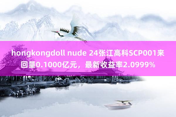 hongkongdoll nude 24张江高科SCP001来回量0.1000亿元，最新收益率2.0999%