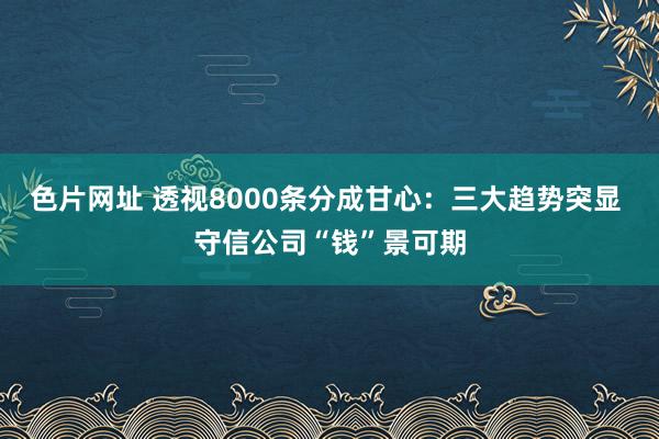 色片网址 透视8000条分成甘心：三大趋势突显 守信公司“钱”景可期