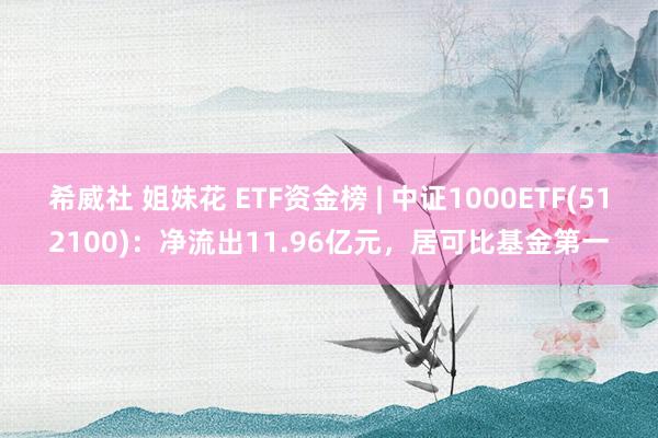 希威社 姐妹花 ETF资金榜 | 中证1000ETF(512100)：净流出11.96亿元，居可比基金第一