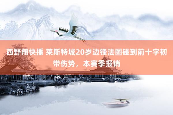 西野翔快播 莱斯特城20岁边锋法图碰到前十字韧带伤势，本赛季报销