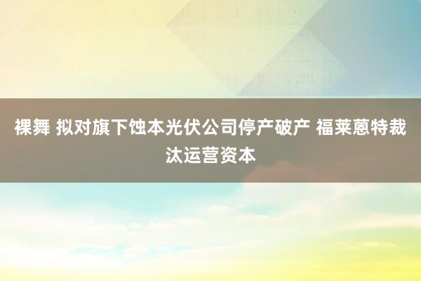 裸舞 拟对旗下蚀本光伏公司停产破产 福莱蒽特裁汰运营资本