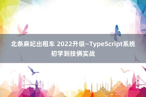 北条麻妃出租车 2022升级—TypeScript系统初学到技俩实战