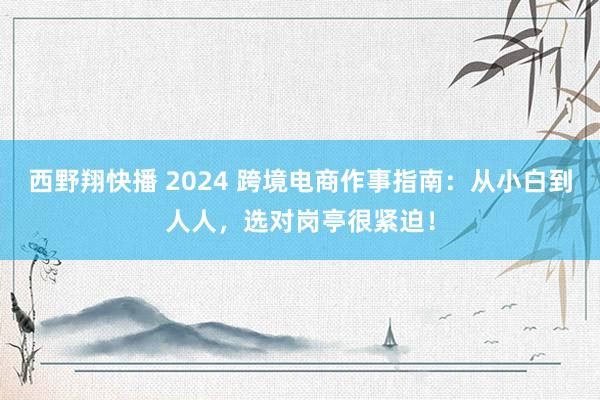 西野翔快播 2024 跨境电商作事指南：从小白到人人，选对岗亭很紧迫！