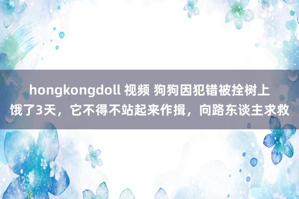 hongkongdoll 视频 狗狗因犯错被拴树上饿了3天，它不得不站起来作揖，向路东谈主求救