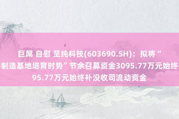 巨屌 自慰 至纯科技(603690.SH)：拟将“光电子材料及器件制造基地培育时势”节余召募资金3095.77万元始终补没收司流动资金