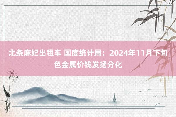 北条麻妃出租车 国度统计局：2024年11月下旬色金属价钱发扬分化