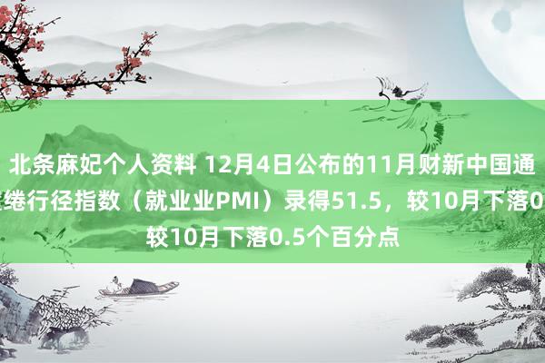 北条麻妃个人资料 12月4日公布的11月财新中国通用就业业缱绻行径指数（就业业PMI）录得51.5，较10月下落0.5个百分点