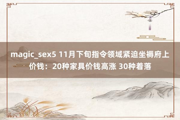 magic_sex5 11月下旬指令领域紧迫坐褥府上价钱：20种家具价钱高涨 30种着落