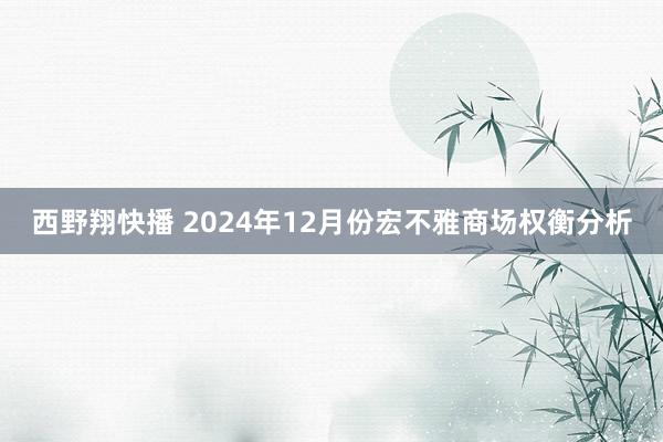 西野翔快播 2024年12月份宏不雅商场权衡分析