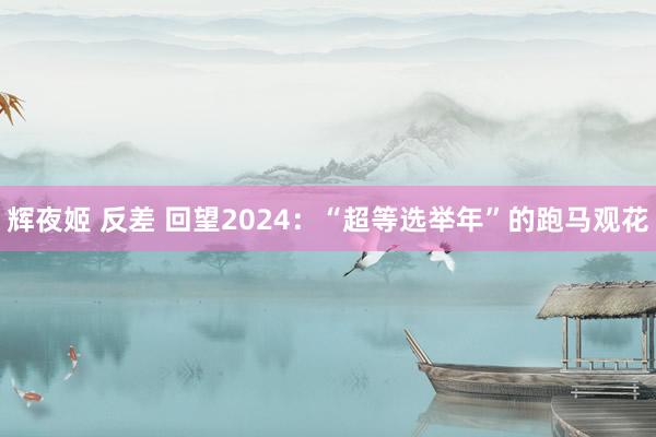 辉夜姬 反差 回望2024：“超等选举年”的跑马观花